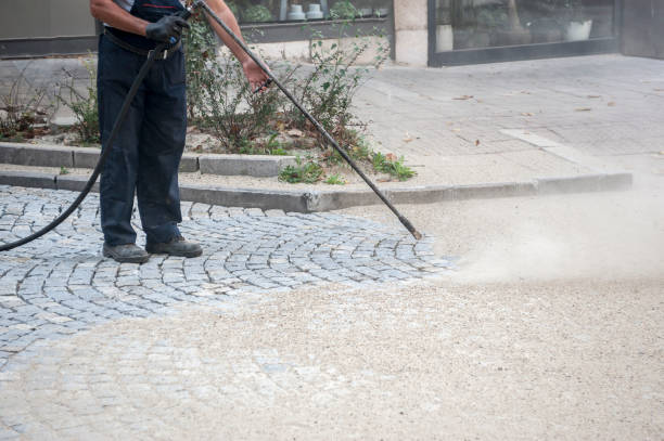 Best Winterizing Services  in Wesley Chapel, FL