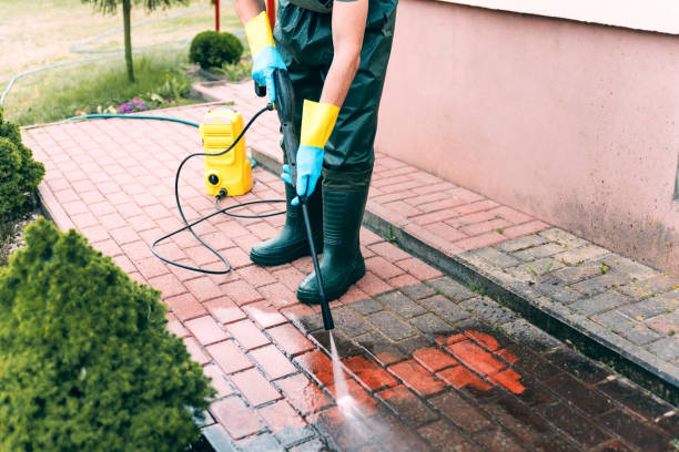 Best House Exterior Washing  in Wesley Chapel, FL