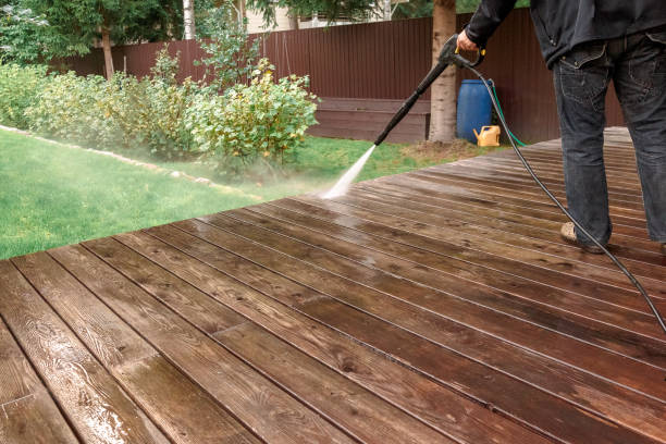 Best Spring Cleaning  in Wesley Chapel, FL